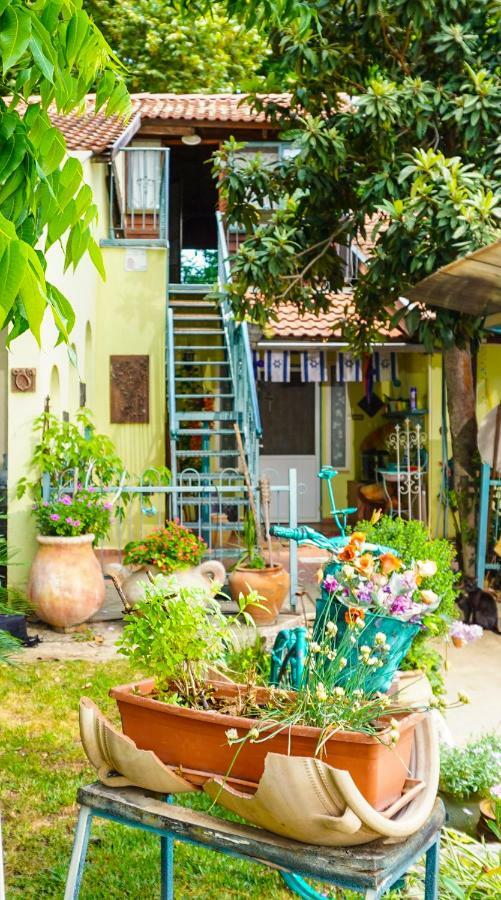 Brush And Wind Villa Hagoshrim Ngoại thất bức ảnh