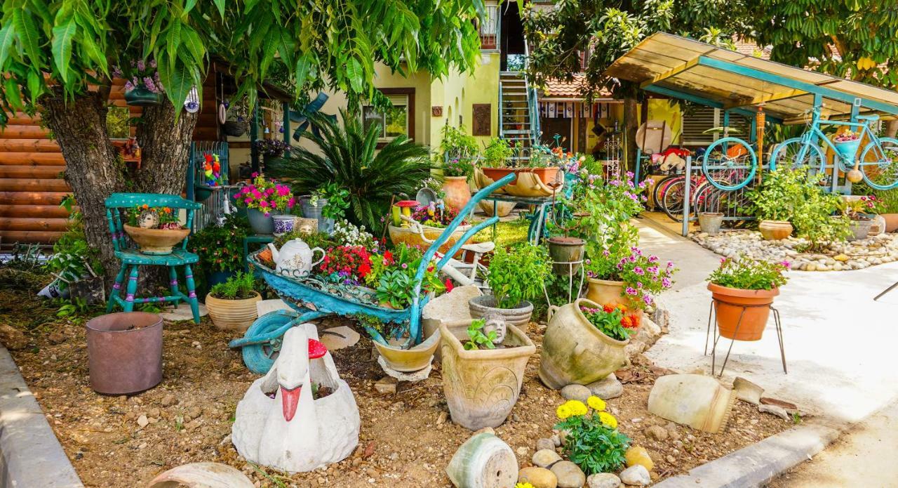 Brush And Wind Villa Hagoshrim Ngoại thất bức ảnh